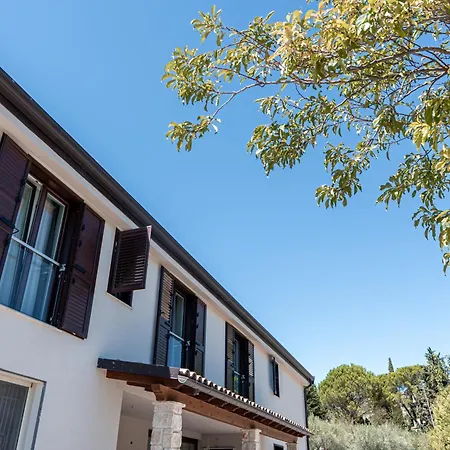 Manfredomus * Mussomeli