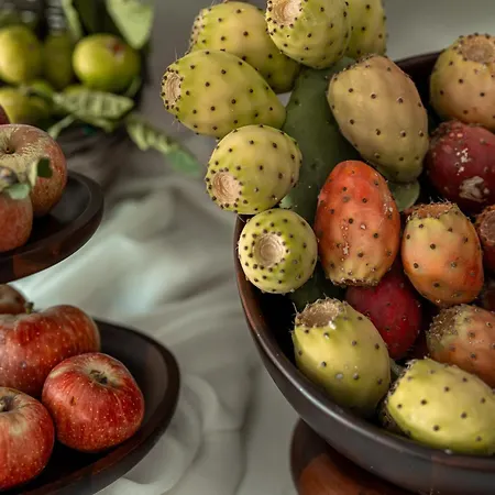 Manfredomus * Mussomeli