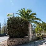 Manfredomus Mussomeli